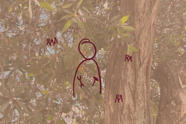 Das Zeitalter der Single-Founder